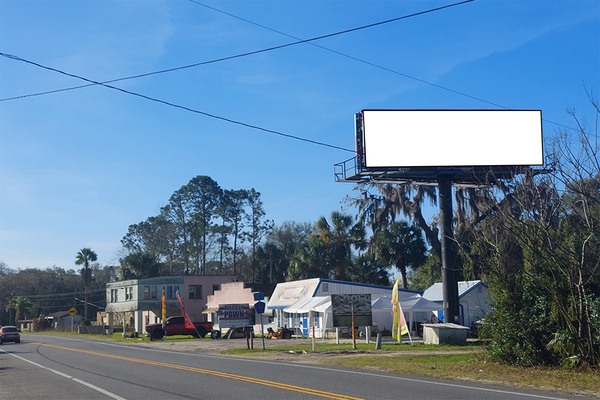 US 17 WS 0.15mi N/O CR 309 F/N - 2
