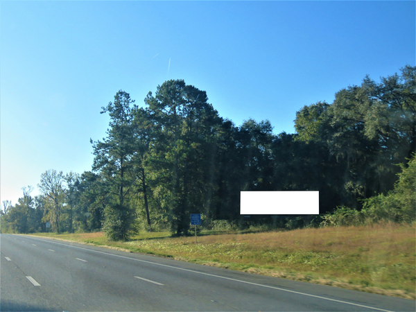 I-75 WS 0.6mi S/O I-10 F/N - 1