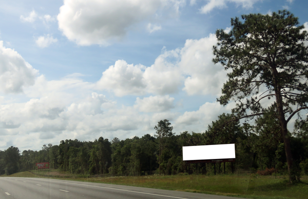 I-75 WS 3.8mi N/O US 90 F/NW - 1