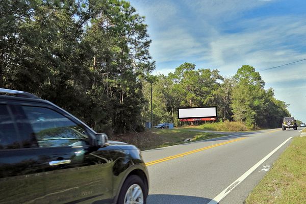 CO 491 Lecanto Hwy WS 0.6mi N/O SR 44 F/S - 1