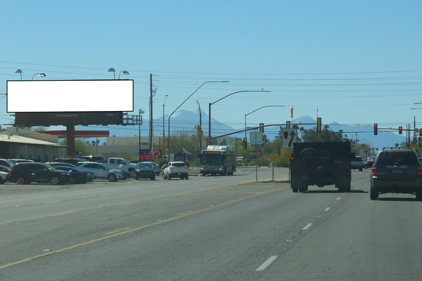 Palo Verde ES 130ft N/O Ajo F/N - 1