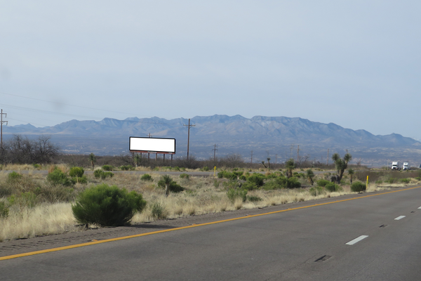 I-10 SS 1mi E/O Sibyl Rd mm 313 F/E - 1