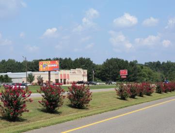 US 78 N/L 50' W/O OLD WARRIOR RD
