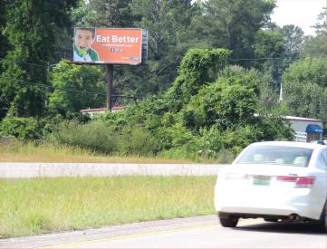 AL 21 E/L .2 MI N/O ANN/JVILLE RD N/F