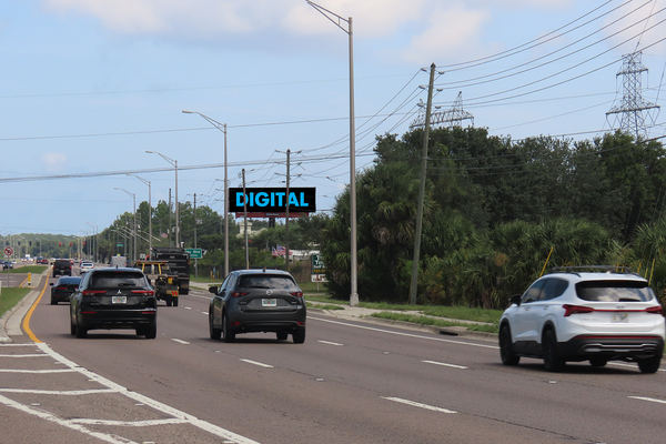 SR 54 NS 1.5mi E/O Little Rd F/E - 2