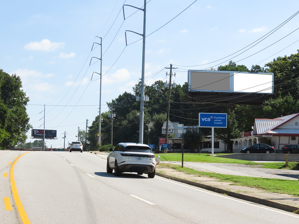 Peachtree Blvd (Industrial) ES 635ft S/O New Peachtree Rd F/S - 1