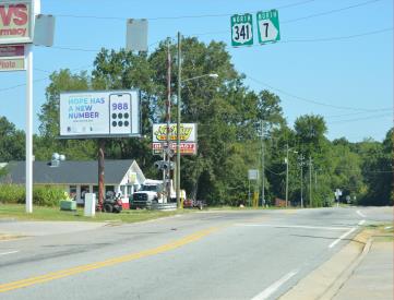 US 341 N N/O HWY 96&49 NS/FW( FT VALLEY)