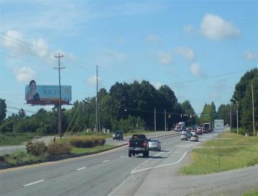 E/S HWY 141 1ST N/O MCGINNIS FERRY RD LHR F/N