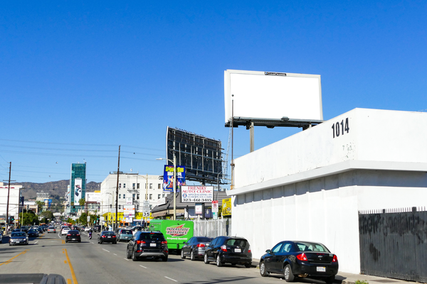 Vine ES 30ft S/O Eleanor F/S - 2