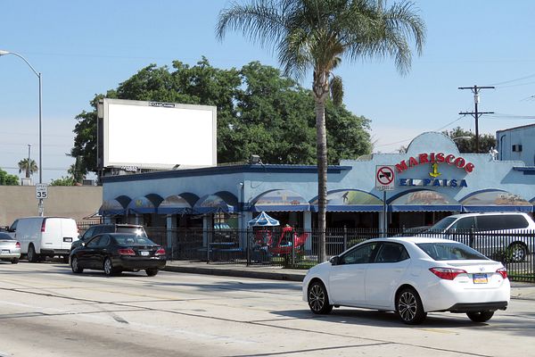 Long Beach ES 160ft S/O Sequoia F/S - 2