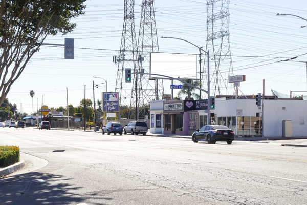 Bellflower WS 100ft S/O Rose F/N - 1