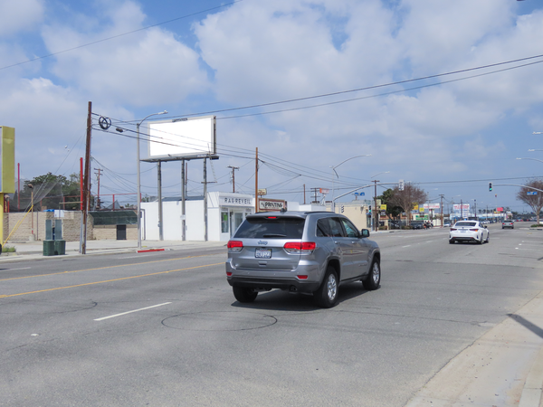 Bellflower WS 100ft S/O Rose F/S - 2