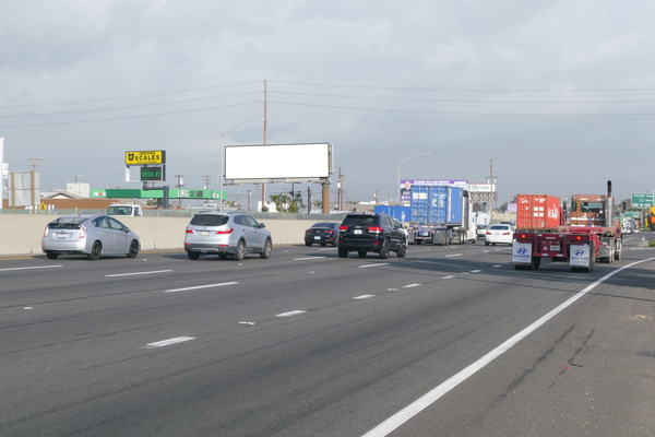 Long Beach Frwy WS 590ft N/O Anaheim F/S - 1