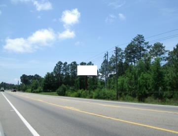 W/S HWY 390 N/O NORTH SHORE ROAD F/N