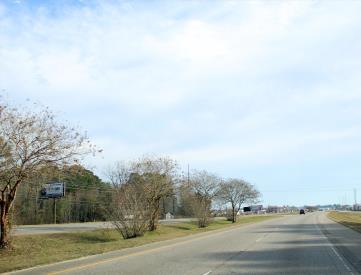 E/S 784 NE. BLVD OPP LAGOON PARK F/N #1