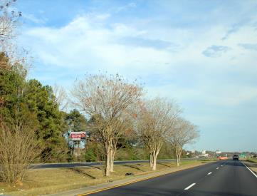 N/S NORTH BLVD. 3000 FT. W/O 231 F/W