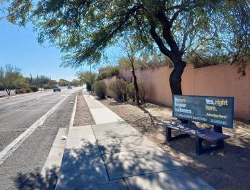 SB Silverbell FS Rainbow Ridge (ST#15963)