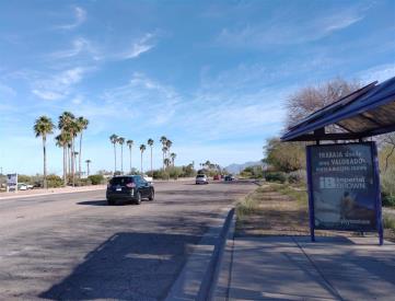 NB Palo Verde NS Britannia (ST#10952)