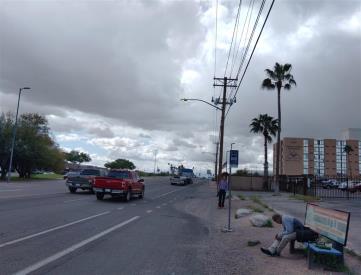 SB Palo Verde FS Michigan (ST#11032)