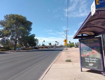 SB Craycroft FS Pima (ST#12816)
