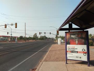 SB 1st Ave NS Limberlost (ST#12907)