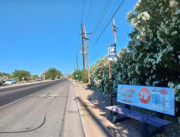 WB River FS Stone Loop (ST#11350)