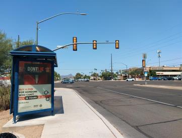 EB Ina FS La Cholla (ST#12209)