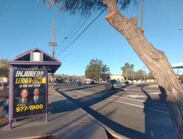 EB St Mary's FS Silverbell (ST#13686)
