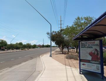 WB Valencia FS Oak Tree (ST#14949)