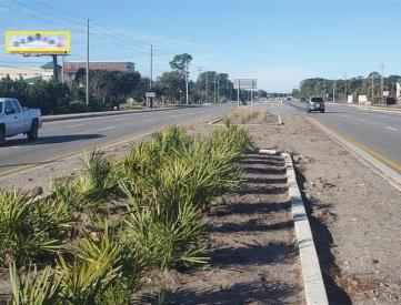 S/S Hwy 98 E/O Ellis Rd F/E