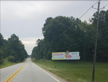 US-29 S WS 4mi S/O SR 11 F/N - 1
