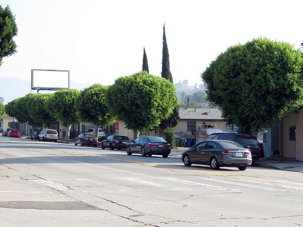 Verdugo ES 305ft S/O York F/S - 1