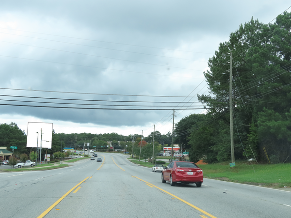 Lawrenceville Hwy WS 160ft N/O Paden Dr F/S - 2