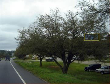 E/S HWY 98 1 MILE N/O HWY 104 F/S
