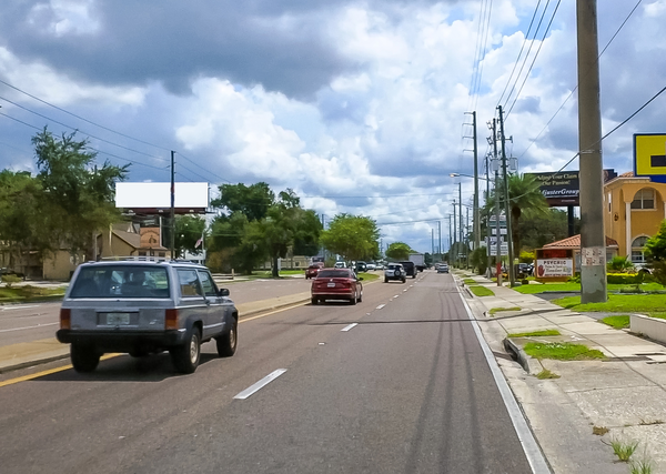 Aloma Av NS 0.1mi E/O Palmetto Av F/W - Single