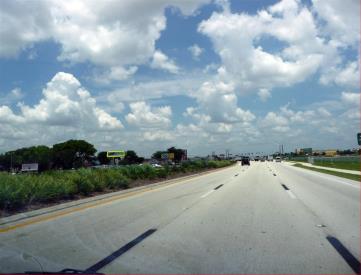 US 41