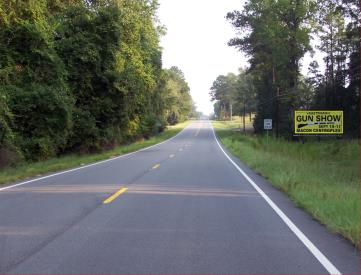 US 341 S/O US 80 LOC.1 ES/FS (ROBERTA)