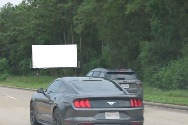 FM 646 WS 850ft S/O Hwy 517 F/N - 2
