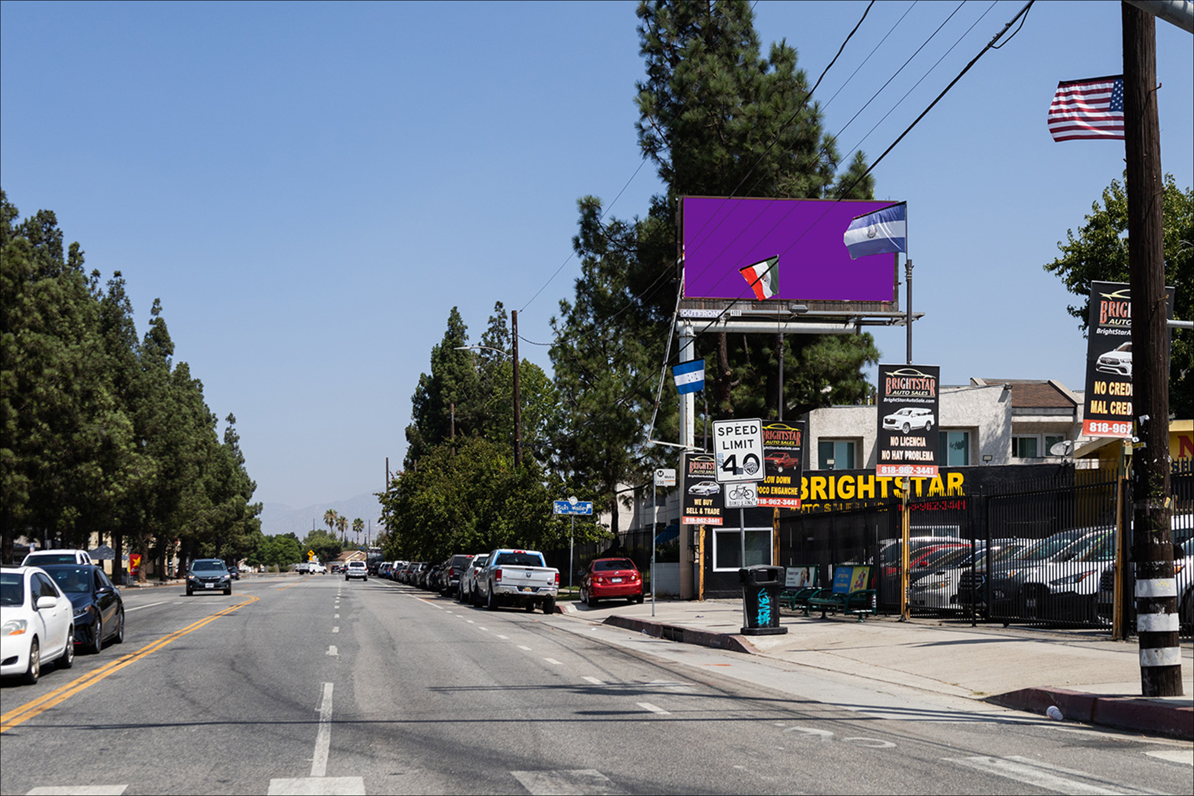 Laurel Canyon E/L N/O Roscoe Ne* (12TP)