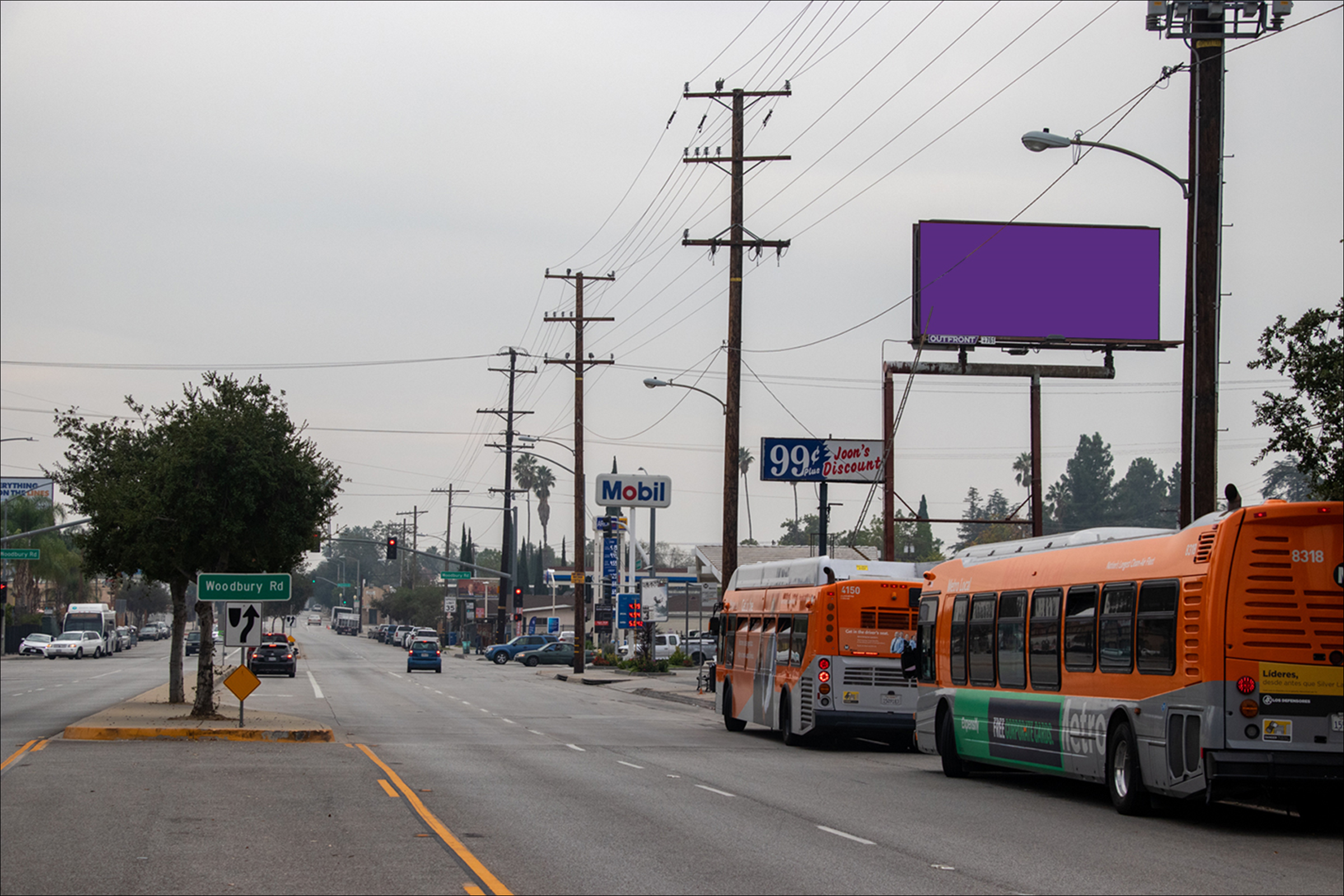 Fair Oaks W/L 225 N Woodbury (TP)
