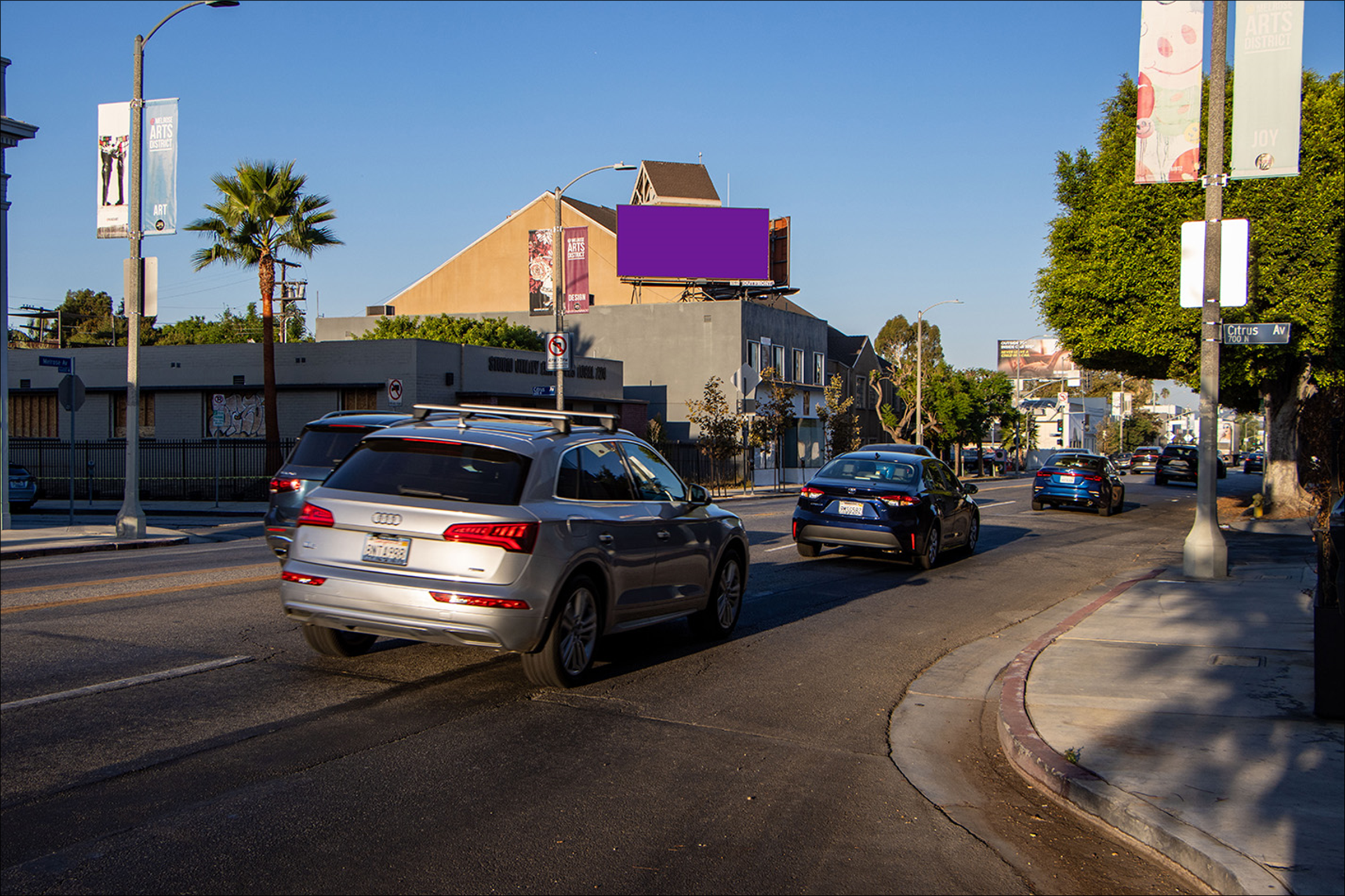 Melrose S/L 80 W Citrus (TP)