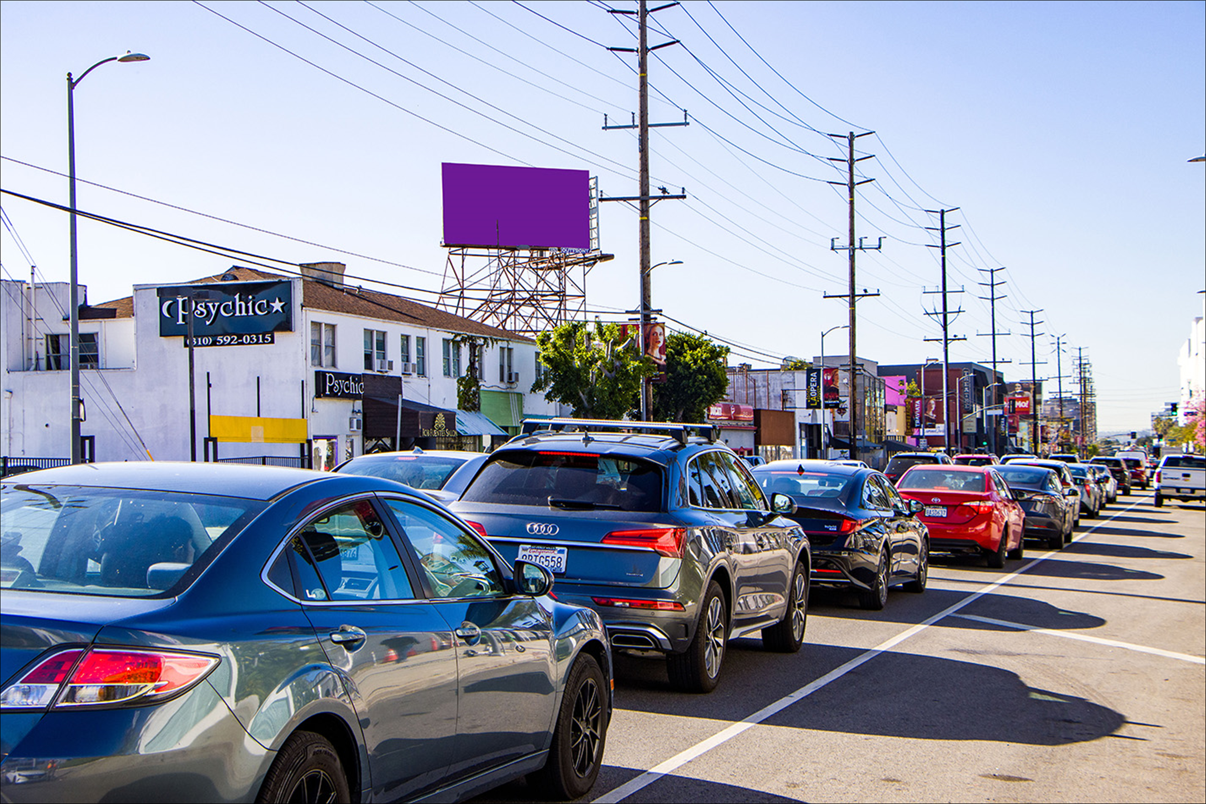 La Cienega E/L 320 S Rosewood (TP)
