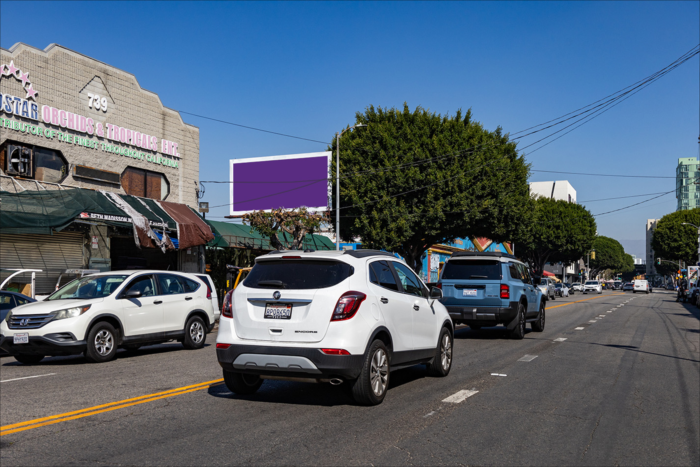 San Pedro W/L 229 S 7Th (PF)