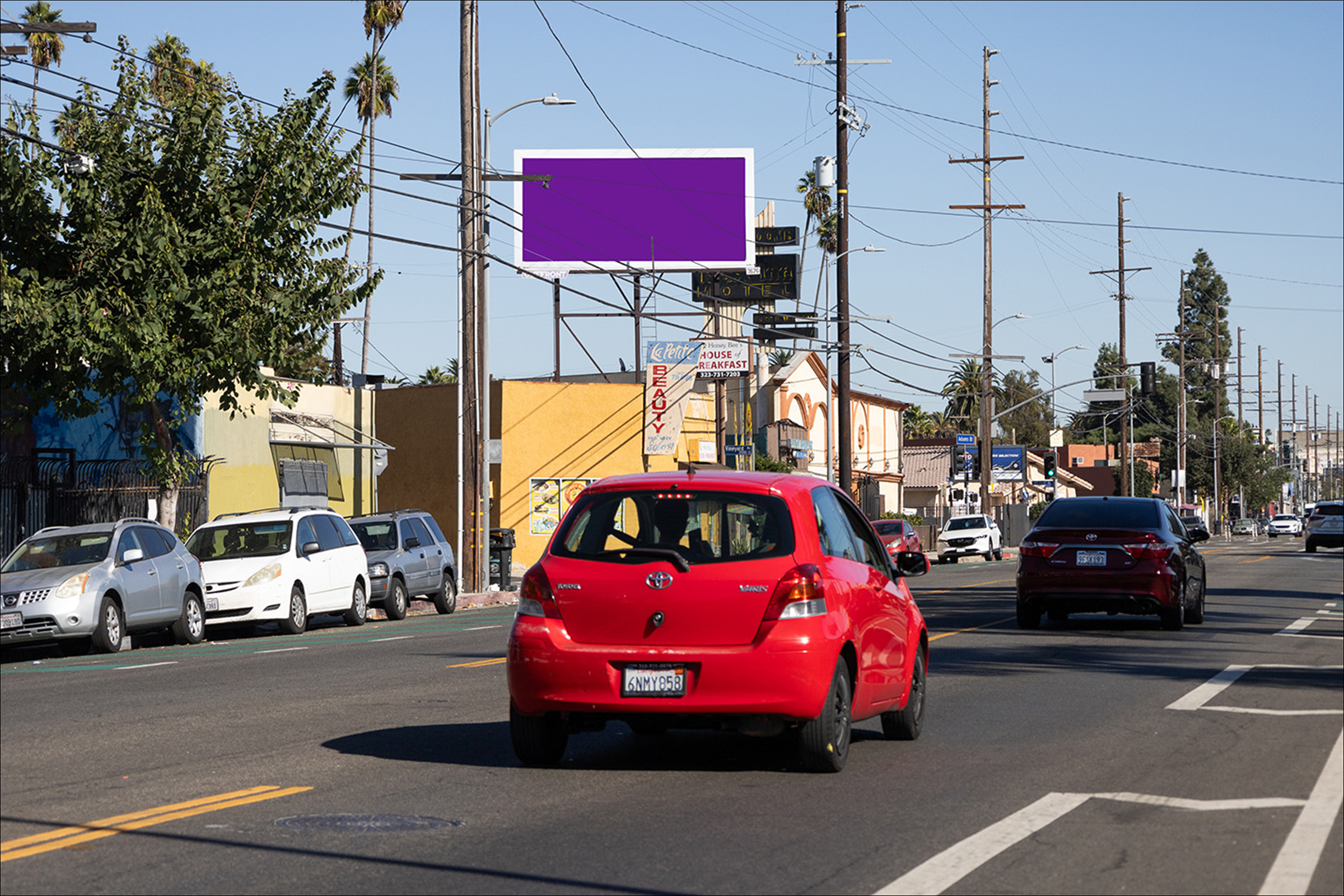 Adams & Vineyard Ne(PF)
