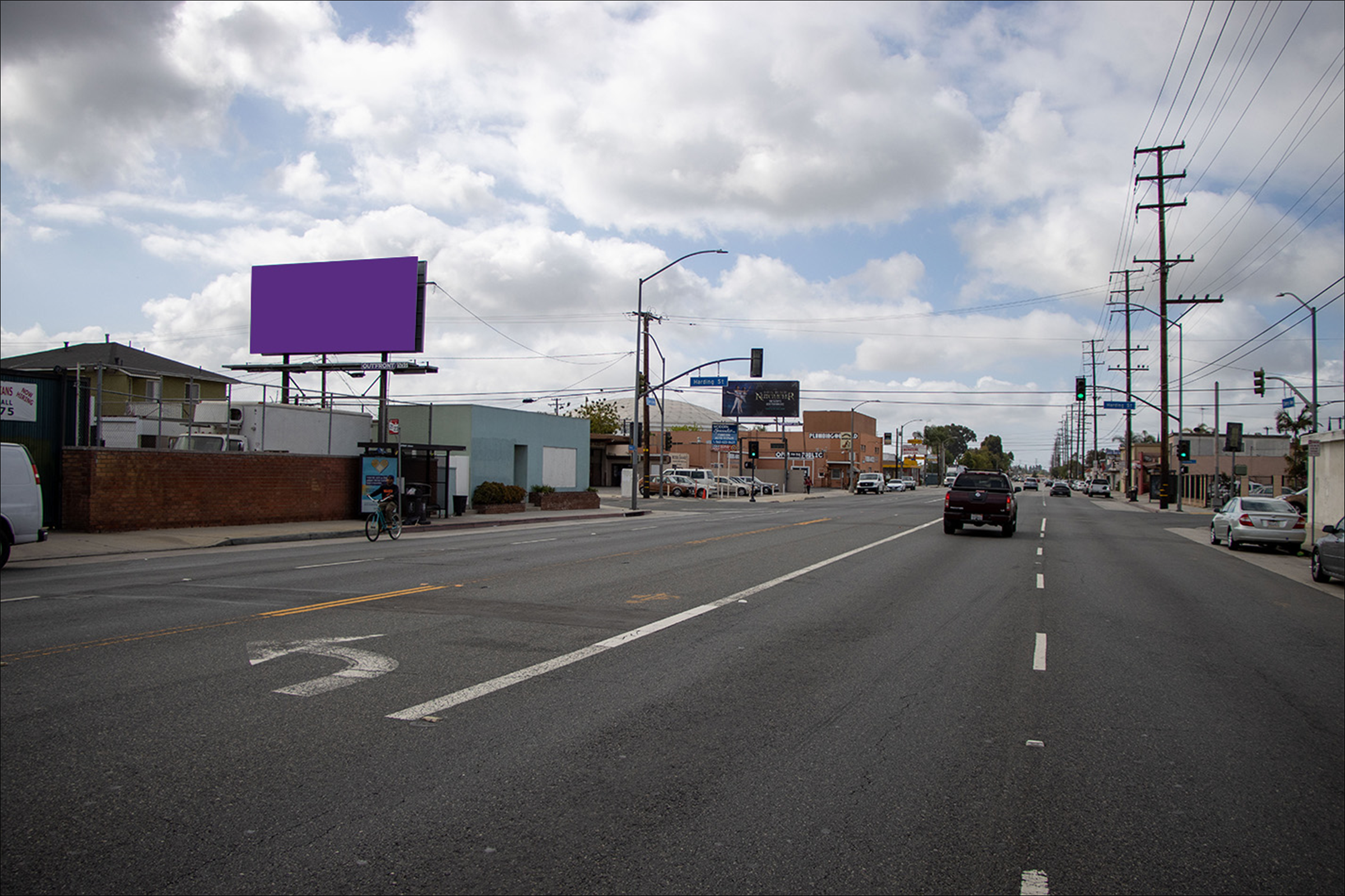 Cherry E/L 50 N Harding  (TP)