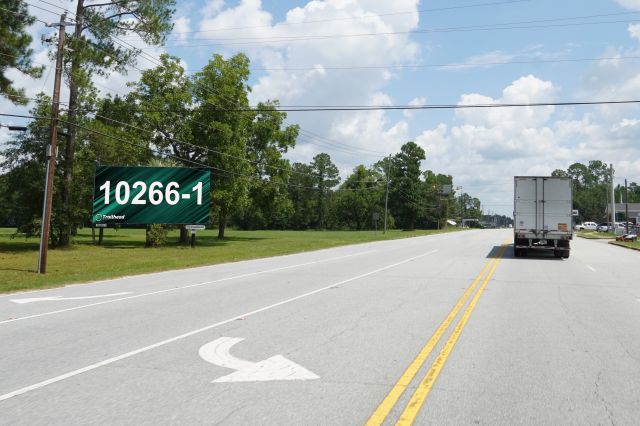 Hwy 301 0.5mi S/O Golden Isles Pkwy WS, S/F LR