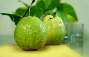 The Amazing Taiwan Pink Guava: A Jewel of Health from Our Farm