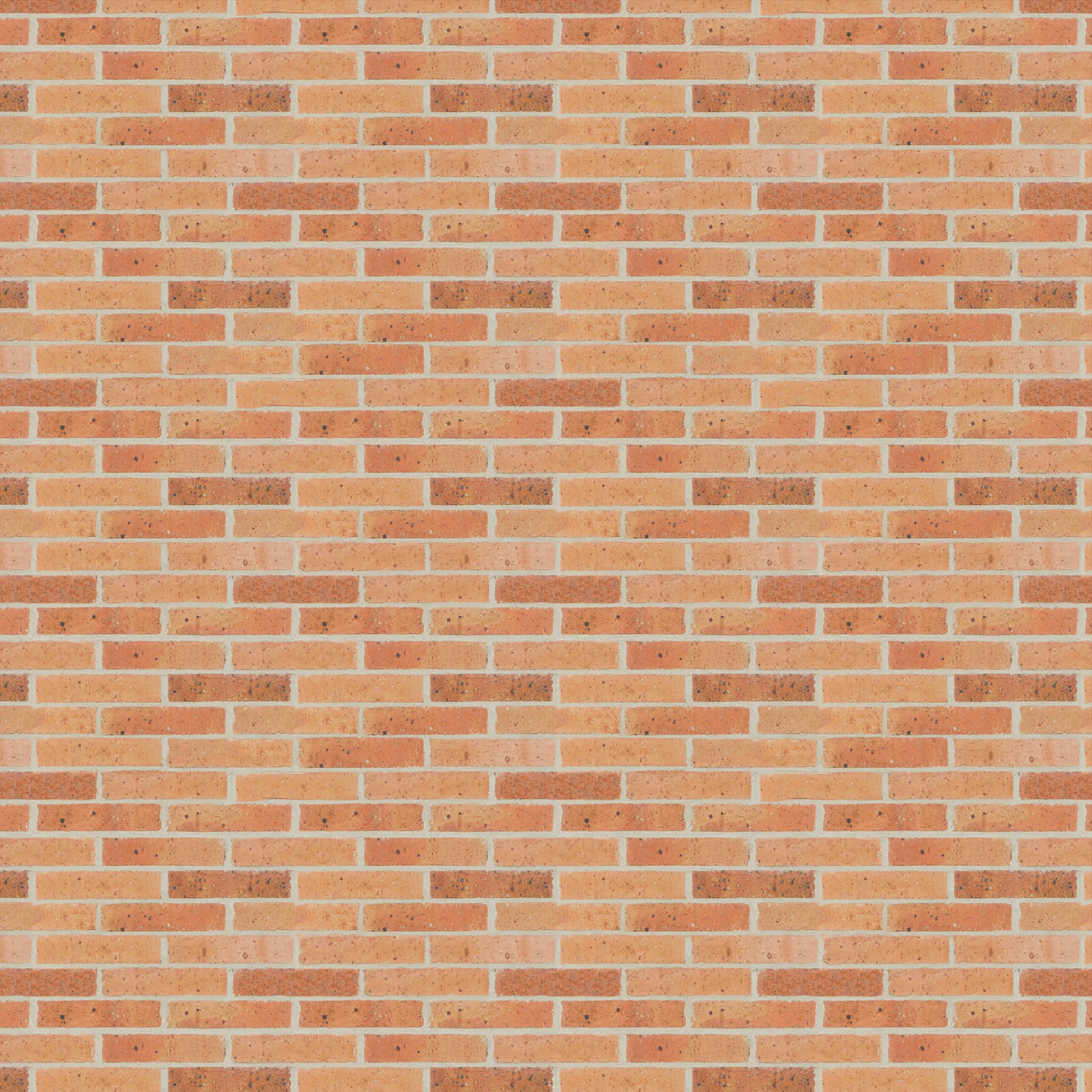 Masonry Brick Brickworks DanielRobertson Traditional50 Buff