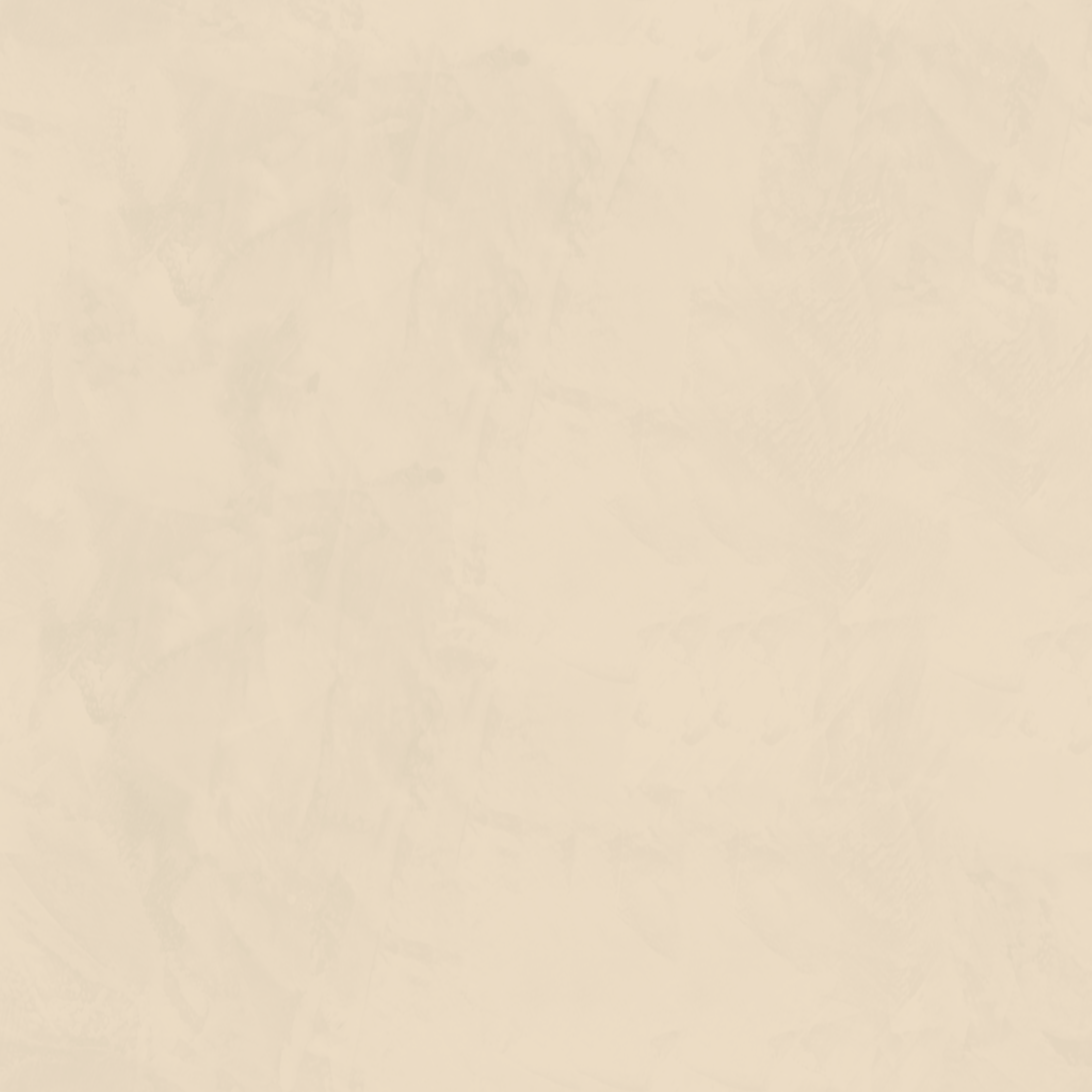 Navigate to Plaster Dulux VenetianPlaster MarmorinoFine BabyBear2