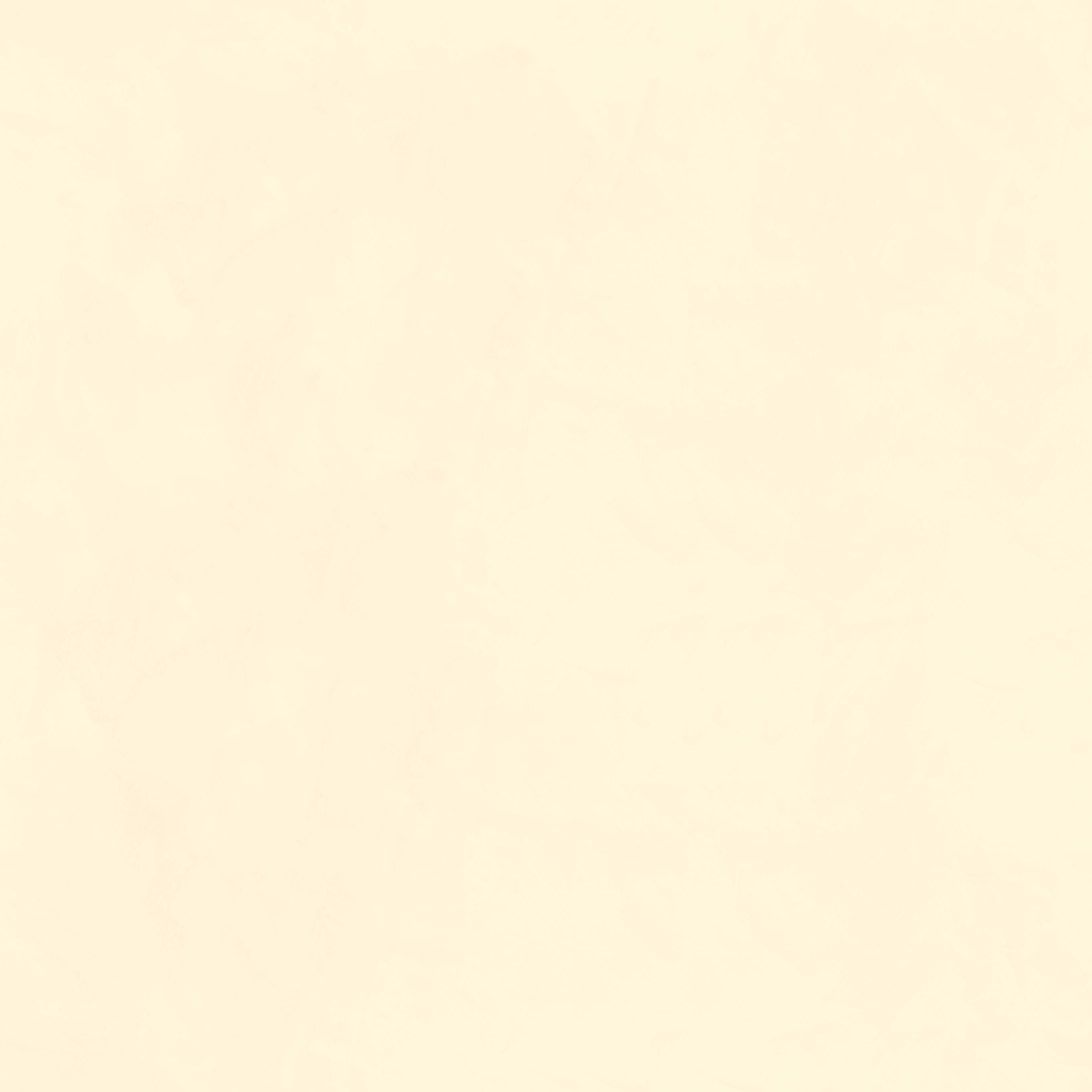 Navigate to Plaster Dulux VenetianPlaster MarmorinoFine Ivory1